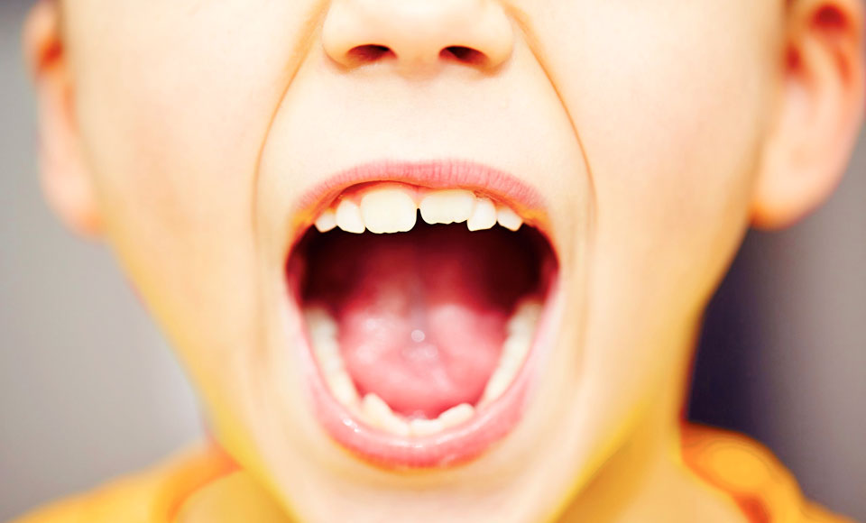 Igiene Orale: Bambini da 6 a 10 anni, nascita denti permanenti - Freesmile